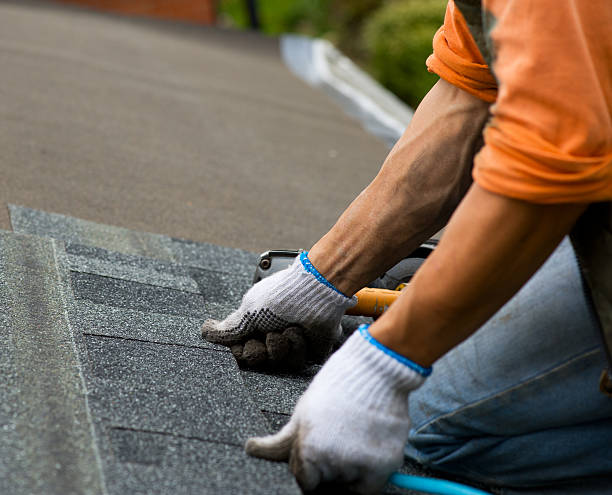 Best Storm Damage Roof Repair  in Fairbanks, AK