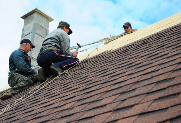 Best Shingle Roofing Installation  in Fairbanks, AK