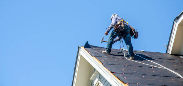Best Roof Gutter Cleaning  in Fairbanks, AK