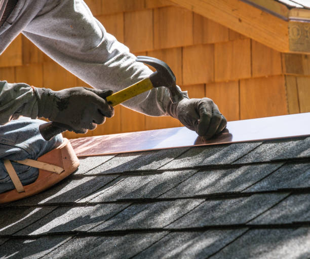 Roof Gutter Cleaning in Fairbanks, AK